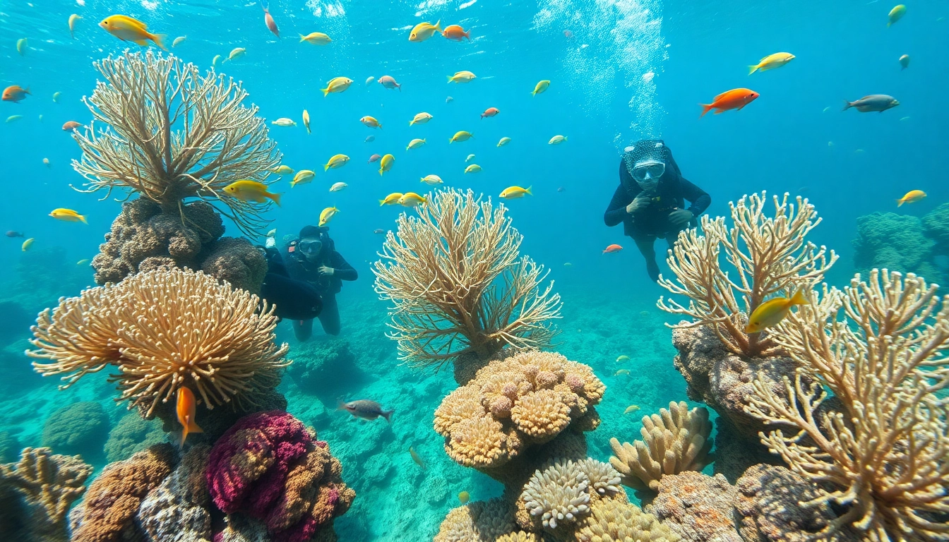 Admiring marine life while enjoying plongée hurghada in the Red Sea's colorful coral reefs.